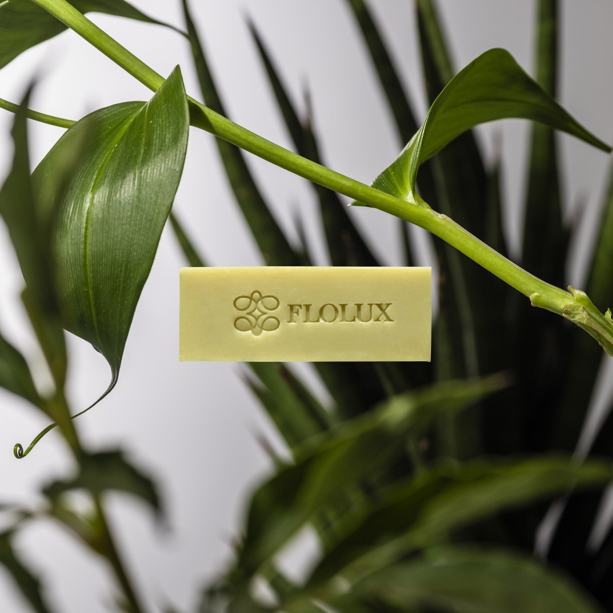 Soap – FLOLUX
